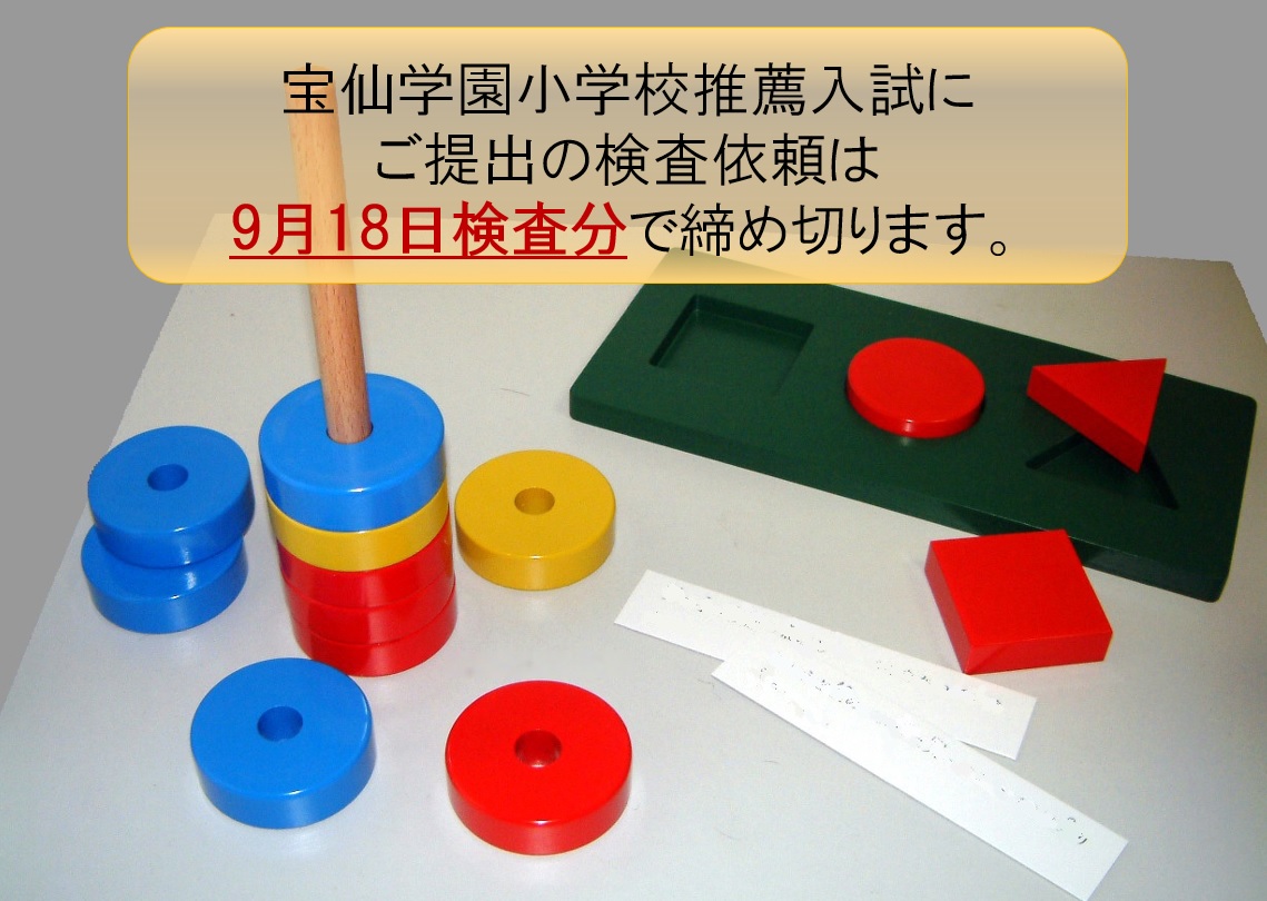 田中ビネー知能検査V　検査進行シート３歳級〜１２歳級セット 田中ビネー知能検査V 検査手順シート 3歳級〜１２歳級